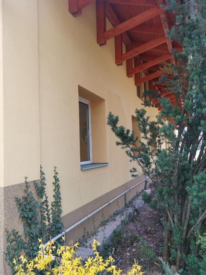 Podlovics Tanya Panzió Kemecse Exterior foto
