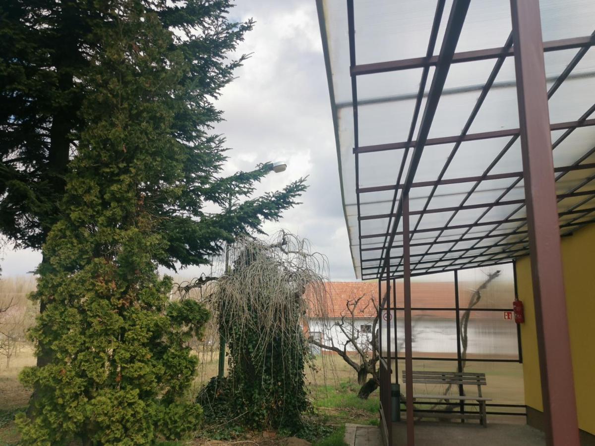 Podlovics Tanya Panzió Kemecse Exterior foto