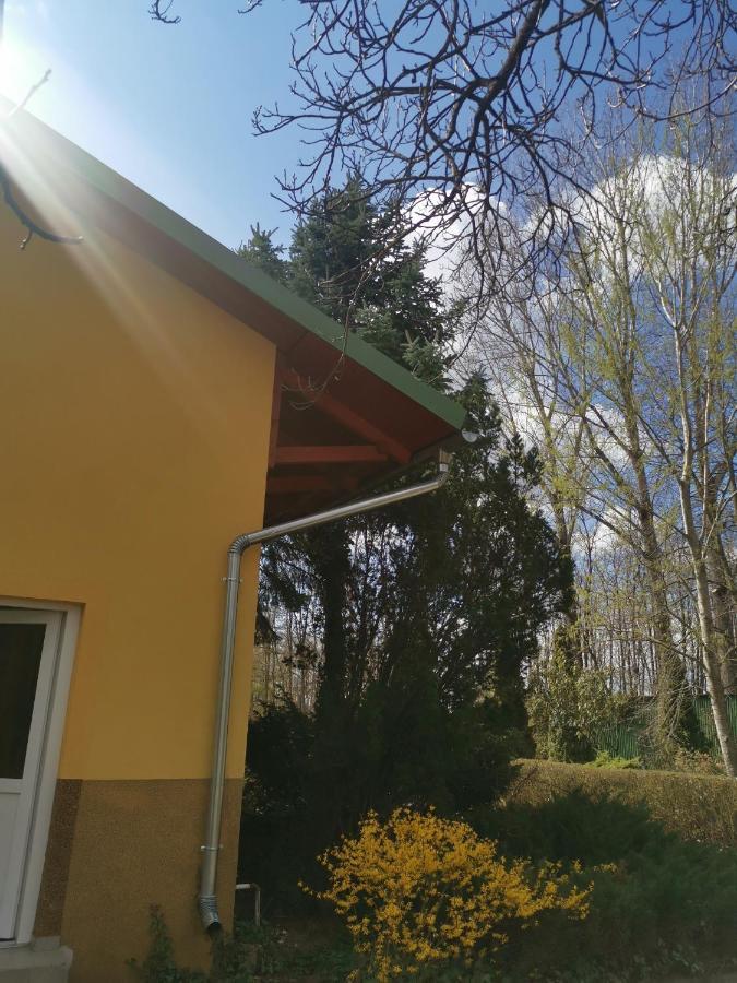 Podlovics Tanya Panzió Kemecse Exterior foto